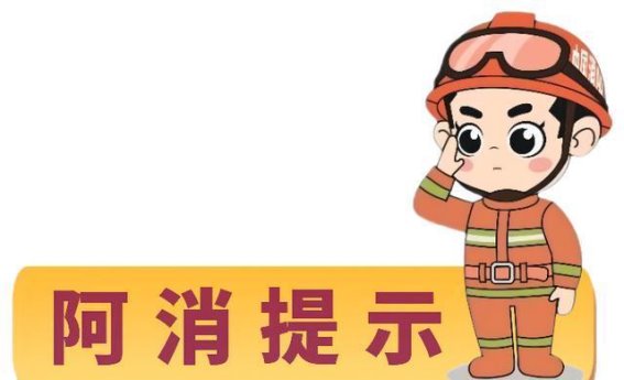 春季蜜蜂活跃 蜇伤应急处理与防范