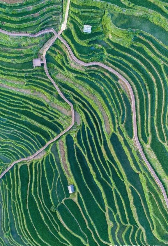 四季如春的攀枝花：温暖冬季与美丽花海