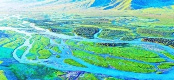 巴音布鲁克的休整与重生：机遇与挑战并存