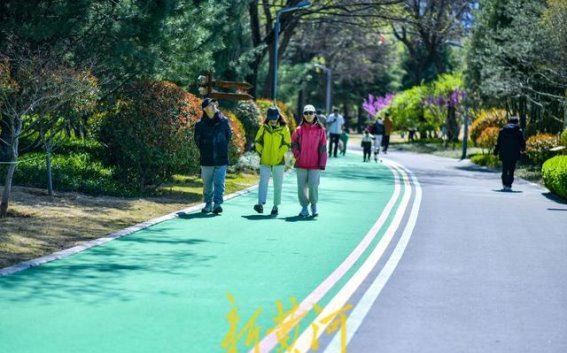 济南森林公园彩色步道改造升级焕发新生