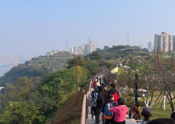 心衰患者的健康恢复法宝：散步带来的四大益处