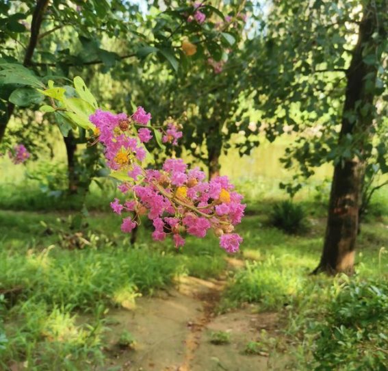 从老师的调理中感受到的巨大能量与变化