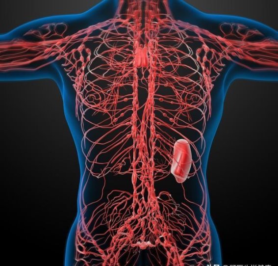 冬季吃橘子过量？你可能会遇到这两种健康变化