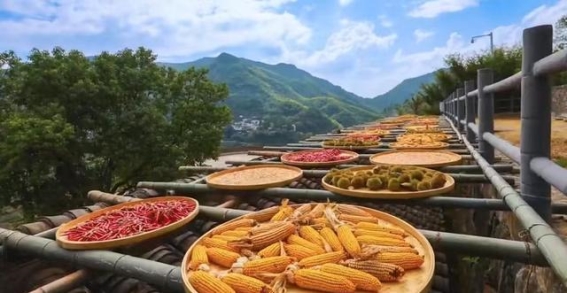 国庆畅游绍兴：感受千年文化的独特魅力