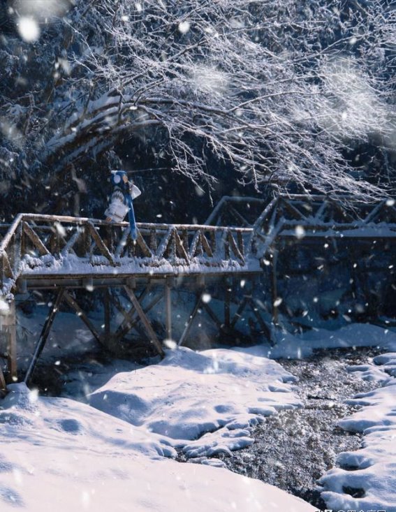走进龙苍沟：南国雪国的秘密花园