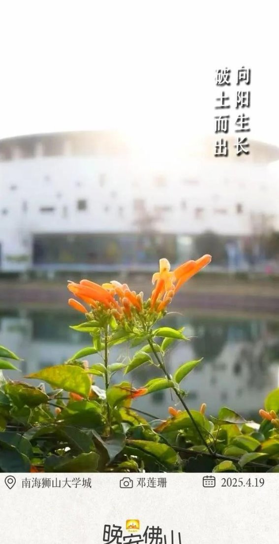 佛山崛起：传统与现代交织的城市新生