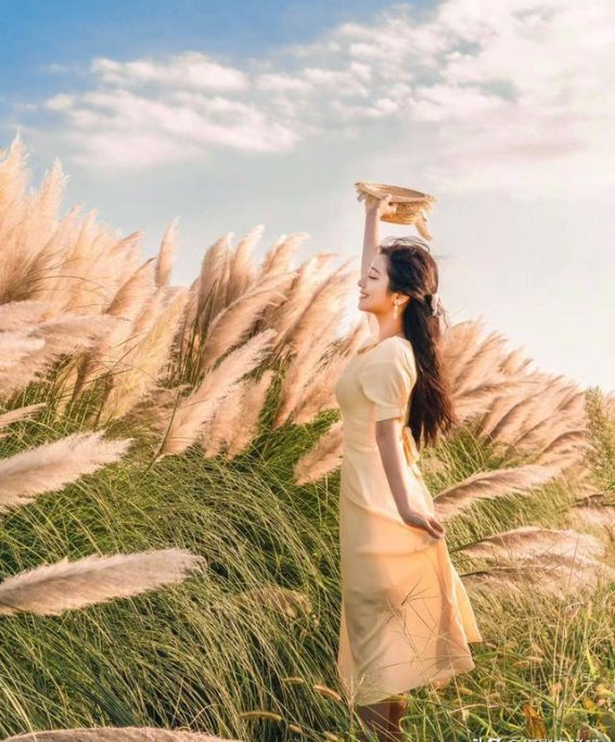 如何在芦苇荡中拍出唯美自然的照片？掌握这8个姿势技巧