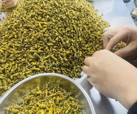 斛之润：承载初心与传统，铸就草本滋补的未来