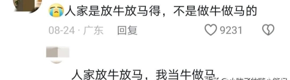 难怪打工多年没见过西藏人，原来他们的生活富裕到这种程度！