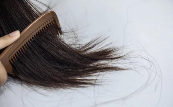 女性健康之道：气血双补，远离脱发与失眠