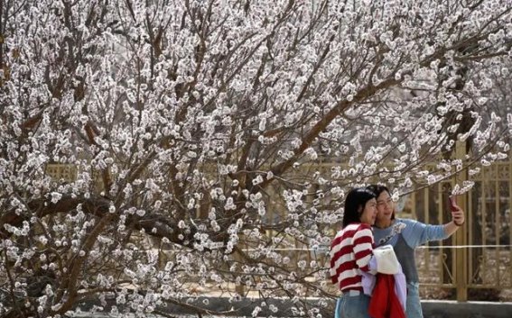 春日最佳光影捕手，镜头中的春天