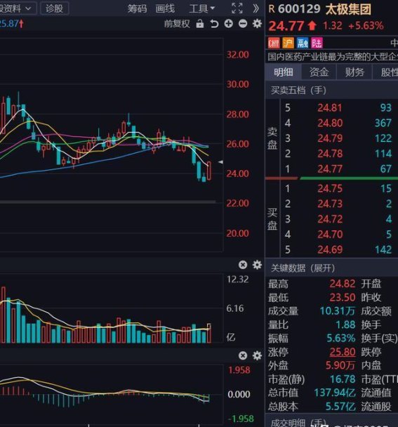 太极集团的未来发展规划