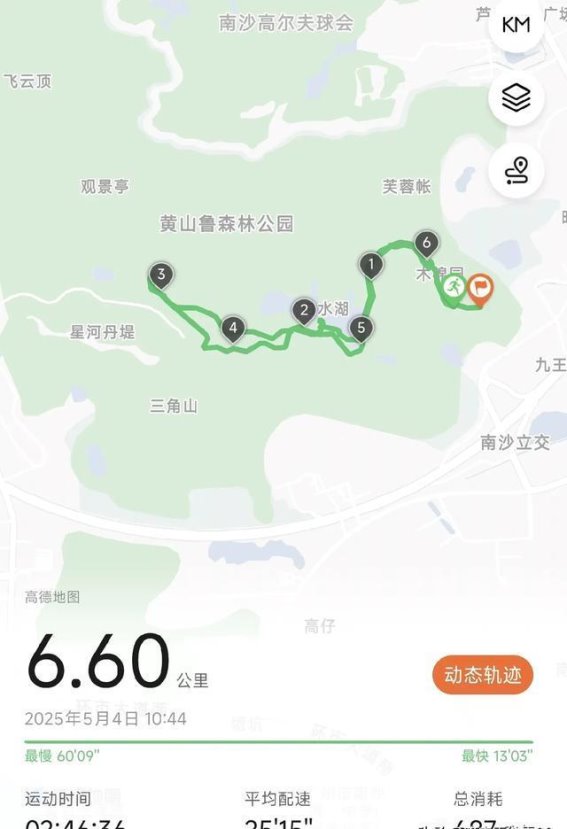 广州南沙的隐秘之美：黄山鲁森林公园