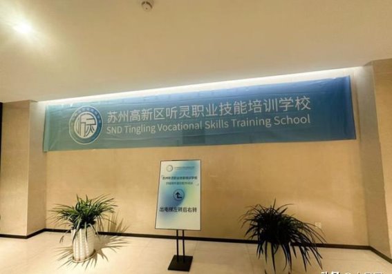 苏州听灵：以专业培训为基石，助力听力健康事业发展