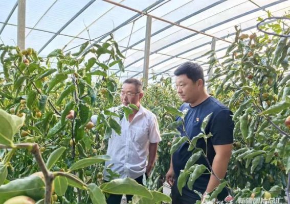 探索兵团第二师的现代农业示范连队