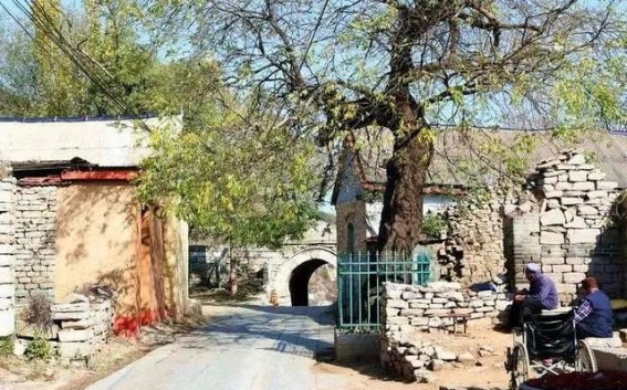 青石关与五里槐的古韵