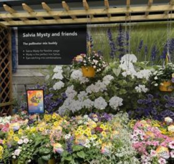 上海家庭园艺节，春日花海邀您共享绿色盛宴