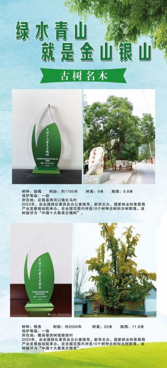 守护古树名木，传承绿色遗产
