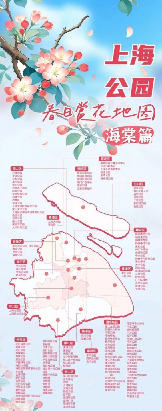 春日上海的海棠盛宴：细品花海中的浪漫