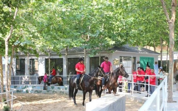 潍城露营季：迎接春天的户外狂欢，速度与激情并行
