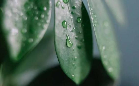 芒种时节湿气最重 中医教你五招科学祛湿