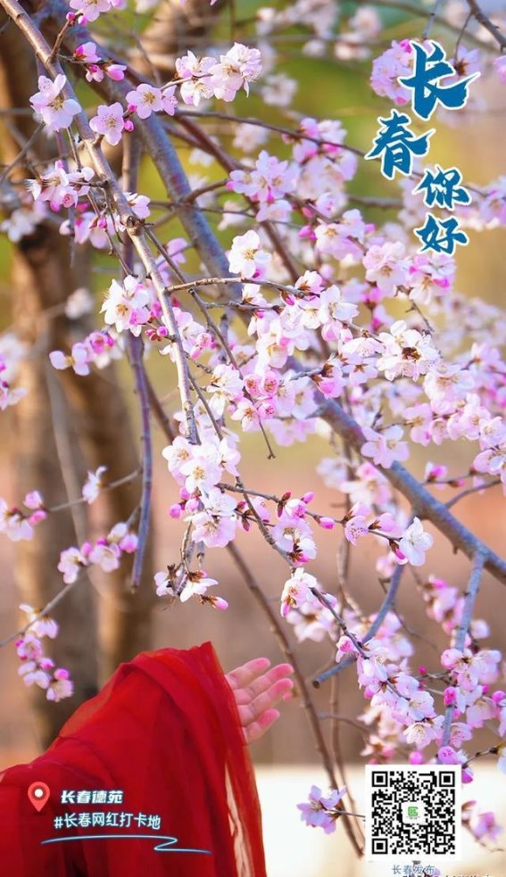 谷雨时节，长春春意正浓