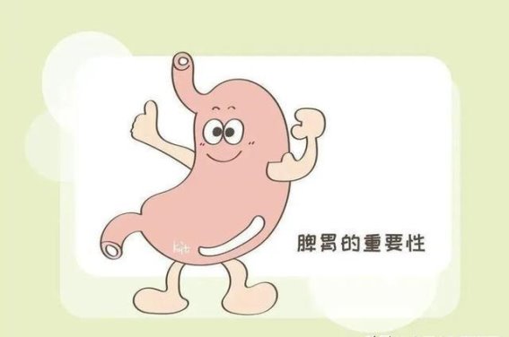 疏通气血，恢复活力：穿山龙调理方案揭秘