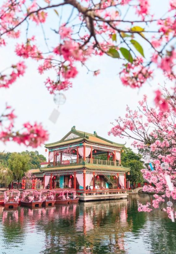 广州五大花海，迎接诗意春天的盛大舞会