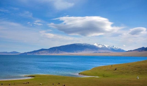 赛里木湖环湖自驾：一场心灵的自由之旅