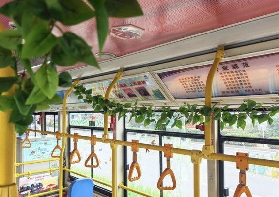 春意融入每一程，青岛6路线迎来春季主题车厢
