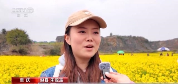 从废弃矿坑到油菜花海，重庆巴南区的春日奇迹