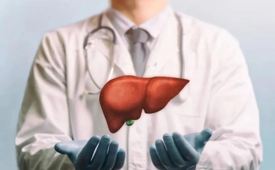 如何通过六个肝功能指标判断肝脏健康