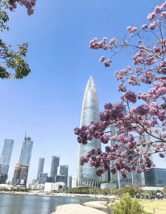 深圳之行：科技与历史交织的未来之城