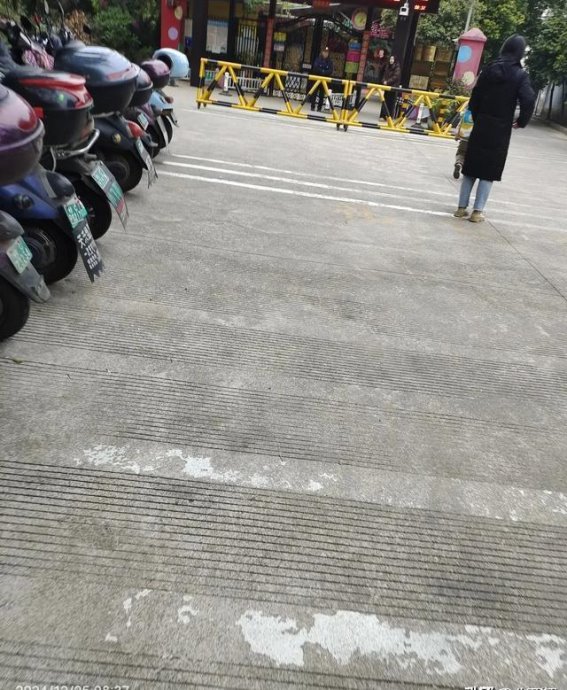 春日的邂逅，在公园里遇见新生