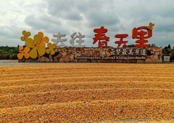 云梦最美乡道：湖北孝感的风景新篇