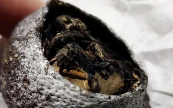 家中茶叶放了多年，究竟还能喝吗？医生这样说
