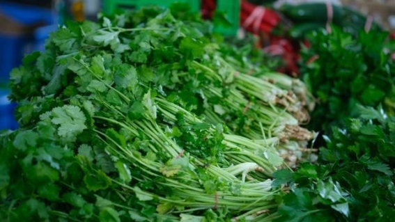 香菜：你忽视的健康食材