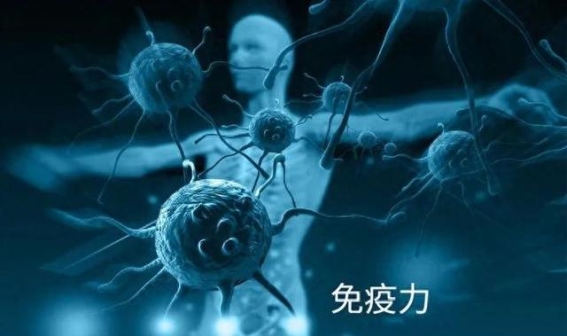 长期食用蓝莓：真的能改善视力、预防糖尿病吗？