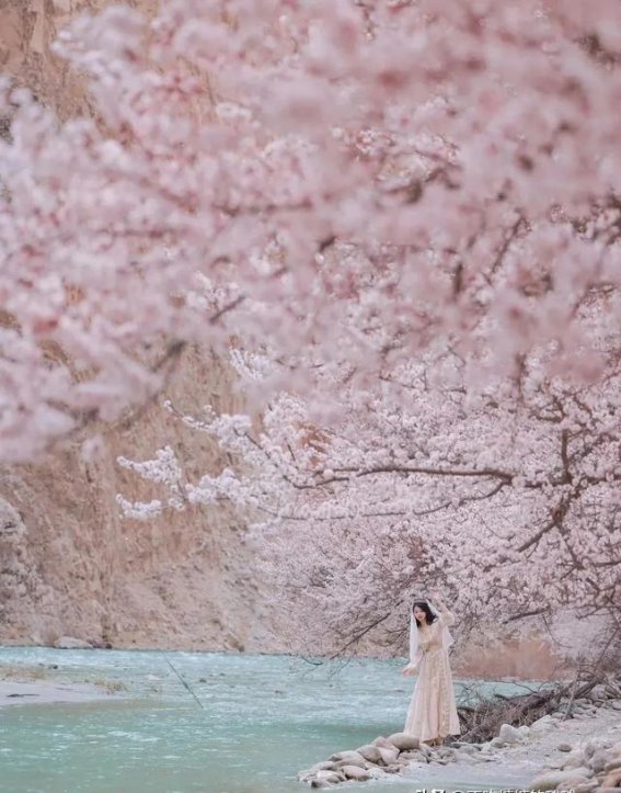 情侣必看丨超高性价比的求婚、蜜月旅行宝藏地！