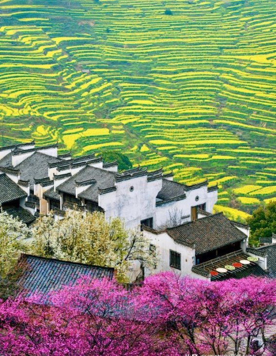 春季疗愈之旅：6个小城让你远离疲惫，感受大自然的安抚