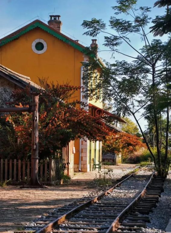 走进蒙自：法式风情与历史文化交织的小镇