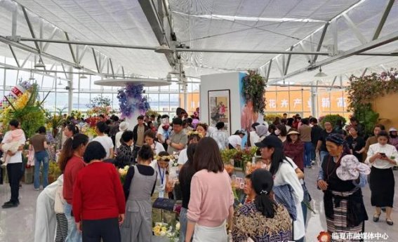 牡丹盛开间，临夏绘出文旅新篇章