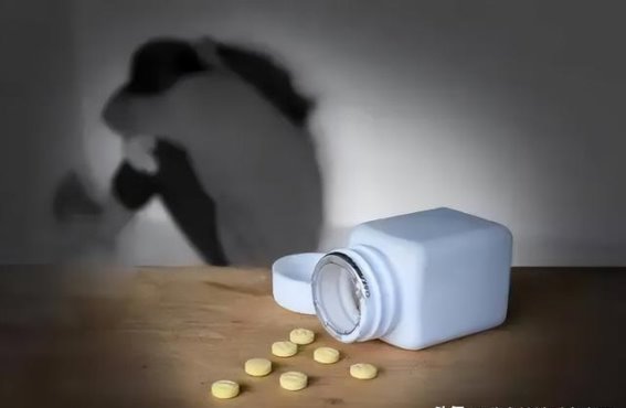 精神病患者居家康复的实用辅助疗法