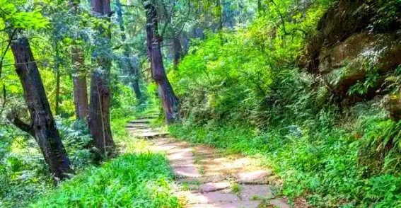 一桥一故事，一步一春秋：探访蜀道四座千年古桥