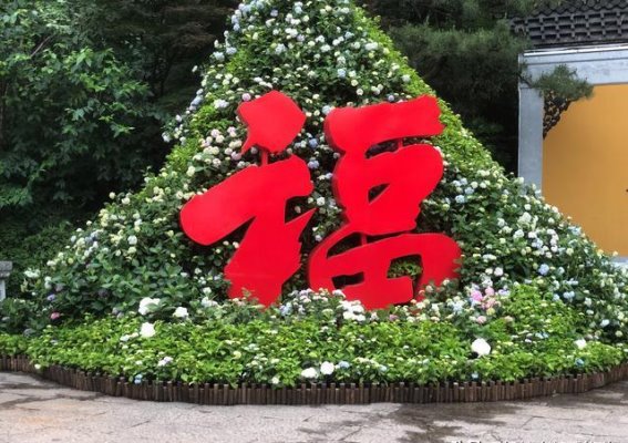 杭州永福寺：与灵隐寺同岁，绣球花盛景让你心动