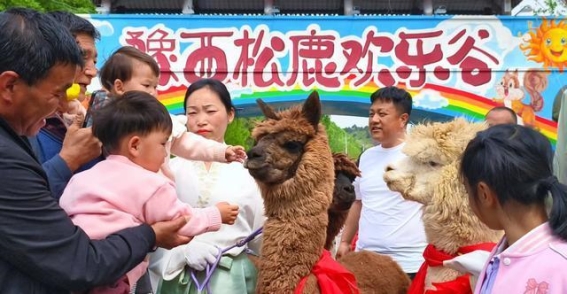 豫西大峡谷：三大亮点全新登场，邀您共享春日的萌趣与风雅