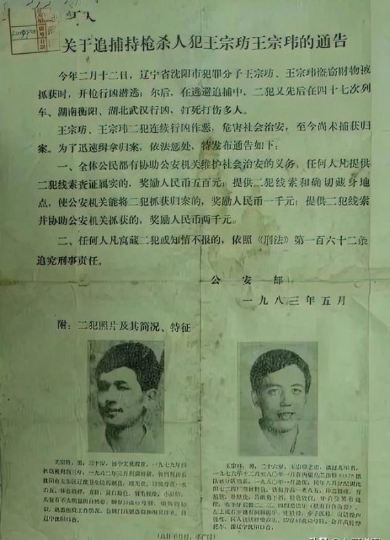 东北二王的逃亡与悬赏：从惊悚到围捕的全程记录