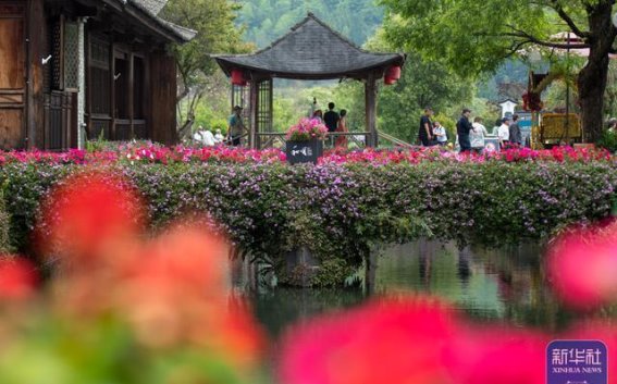云南腾冲和顺古镇：春光如诗，历史与美景的交响