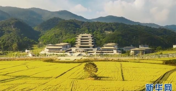 广州春日油菜花海，文化与自然交织的春光之旅