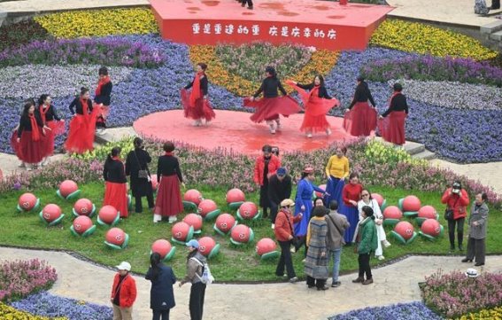 花海中的童年记忆——巴南巴滨花艺园春季艺术花展